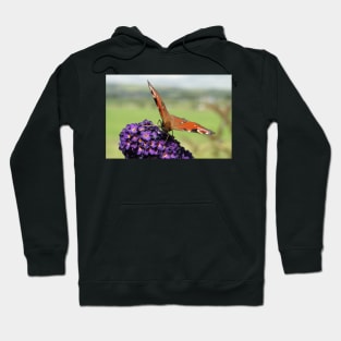 Peacock Butterfly Hoodie